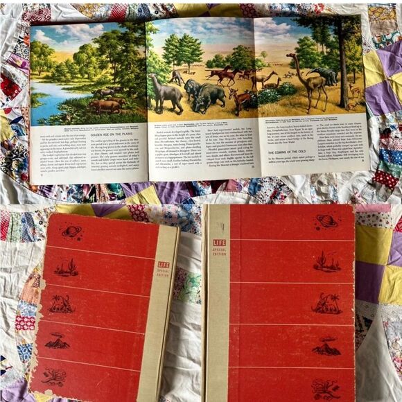 Vintage Hardcover 1956 The World We Live In: Special Edition for Young Readers - Picture 4 of 10